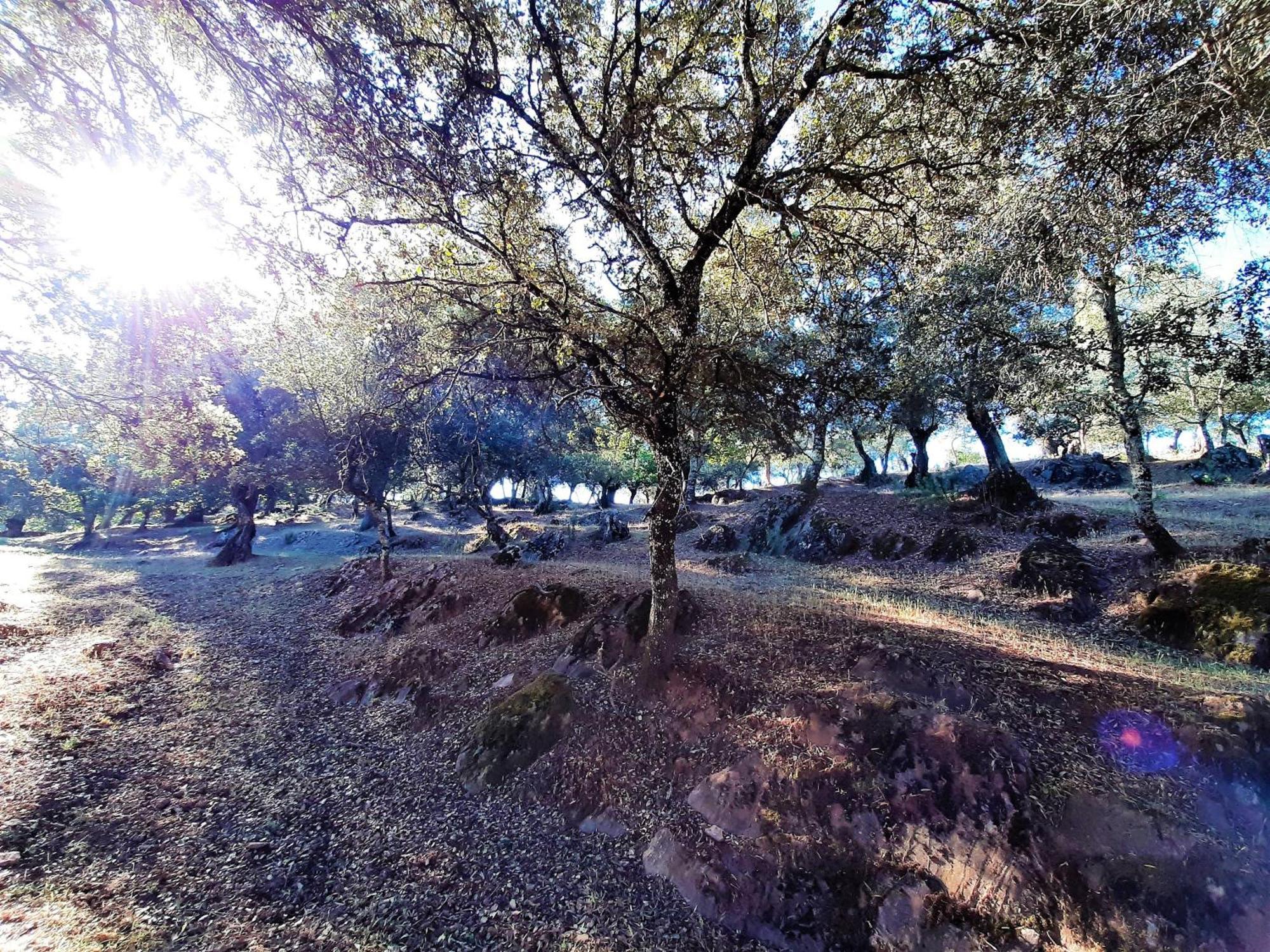 Casa Rural Gurumelo Аракена Екстериор снимка